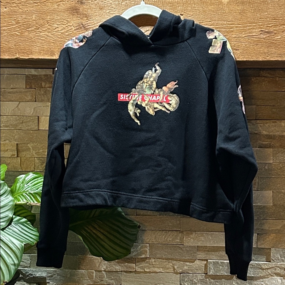 ZARA Sistine Chapel Cropped Hoodie - Picture 2 of 13